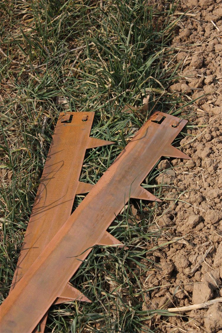 Мінімалістичний ландшафтний бордюр Corten Steel для сучасних садів